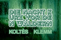 DIE NACHT KURZ VOR DEN WÄLDERN • PREMIERE